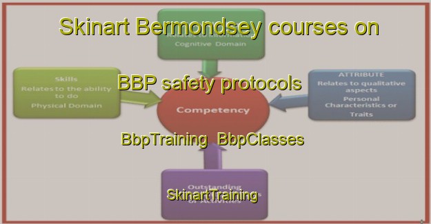Skinart Bermondsey courses on BBP safety protocols | BbpTraining | BbpClasses | SkinartTraining-Canada