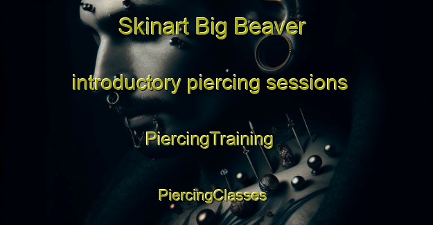 Skinart Big Beaver introductory piercing sessions | PiercingTraining | PiercingClasses | SkinartTraining-Canada