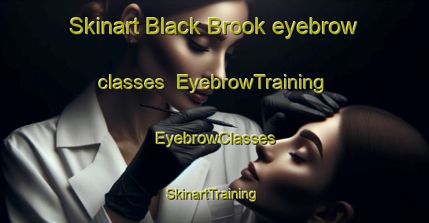 Skinart Black Brook eyebrow classes | EyebrowTraining | EyebrowClasses | SkinartTraining-Canada