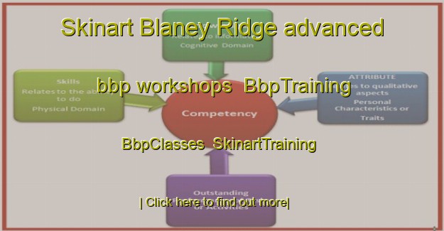 Skinart Blaney Ridge advanced bbp workshops | BbpTraining | BbpClasses | SkinartTraining-Canada
