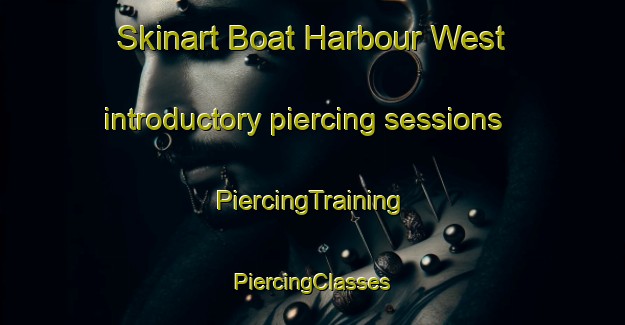 Skinart Boat Harbour West introductory piercing sessions | #PiercingTraining #PiercingClasses #SkinartTraining-Canada