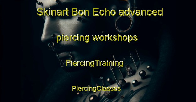 Skinart Bon Echo advanced piercing workshops | PiercingTraining | PiercingClasses | SkinartTraining-Canada