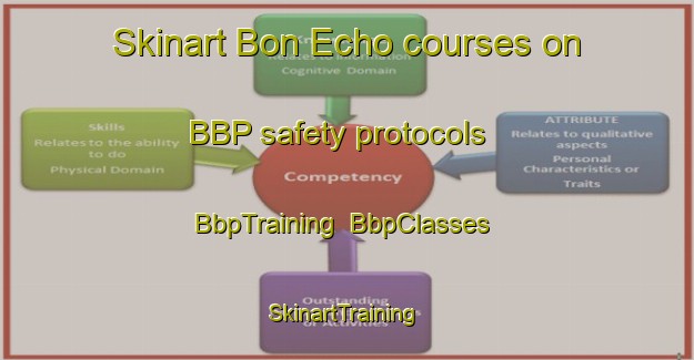 Skinart Bon Echo courses on BBP safety protocols | BbpTraining | BbpClasses | SkinartTraining-Canada