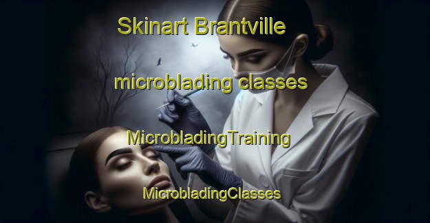 Skinart Brantville microblading classes | MicrobladingTraining | MicrobladingClasses | SkinartTraining-Canada