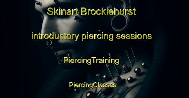 Skinart Brocklehurst introductory piercing sessions | PiercingTraining | PiercingClasses | SkinartTraining-Canada