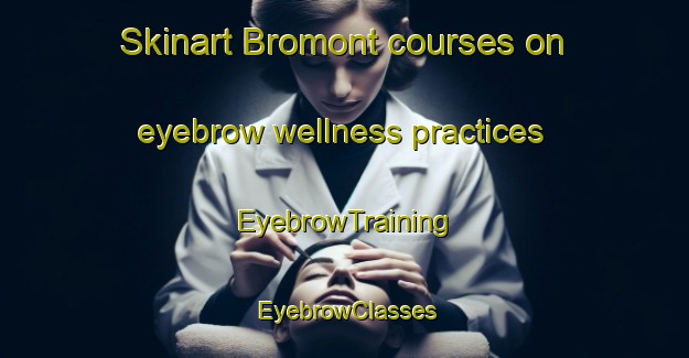 Skinart Bromont courses on eyebrow wellness practices | EyebrowTraining | EyebrowClasses | SkinartTraining-Canada