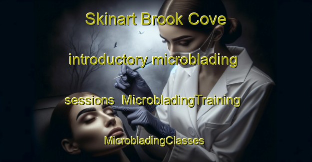 Skinart Brook Cove introductory microblading sessions | MicrobladingTraining | MicrobladingClasses | SkinartTraining-Canada