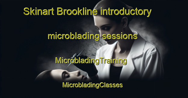 Skinart Brookline introductory microblading sessions | MicrobladingTraining | MicrobladingClasses | SkinartTraining-Canada