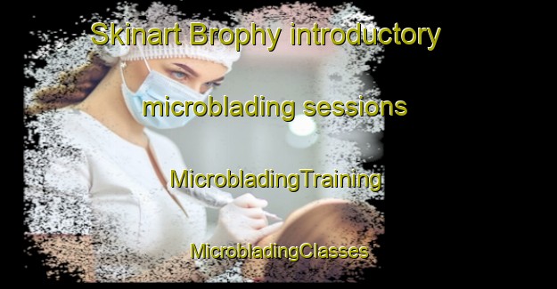 Skinart Brophy introductory microblading sessions | #MicrobladingTraining #MicrobladingClasses #SkinartTraining-Canada