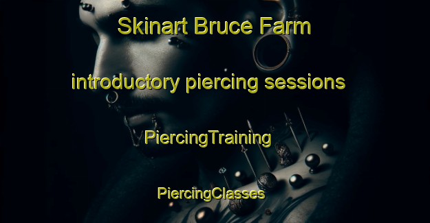 Skinart Bruce Farm introductory piercing sessions | PiercingTraining | PiercingClasses | SkinartTraining-Canada
