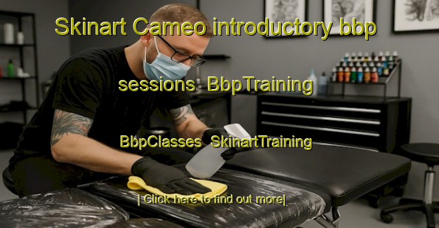 Skinart Cameo introductory bbp sessions | BbpTraining | BbpClasses | SkinartTraining-Canada