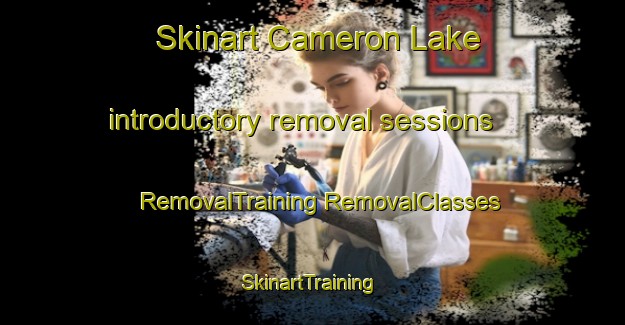 Skinart Cameron Lake introductory removal sessions | #RemovalTraining #RemovalClasses #SkinartTraining-Canada