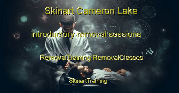 Skinart Cameron Lake introductory removal sessions | #RemovalTraining #RemovalClasses #SkinartTraining-Canada