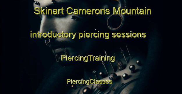 Skinart Camerons Mountain introductory piercing sessions | PiercingTraining | PiercingClasses | SkinartTraining-Canada