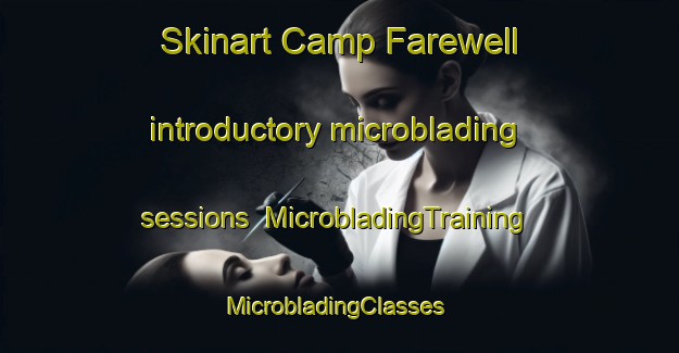 Skinart Camp Farewell introductory microblading sessions | MicrobladingTraining | MicrobladingClasses | SkinartTraining-Canada