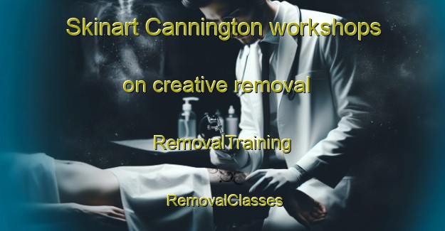 Skinart Cannington workshops on creative removal | RemovalTraining | RemovalClasses | SkinartTraining-Canada