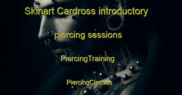 Skinart Cardross introductory piercing sessions | PiercingTraining | PiercingClasses | SkinartTraining-Canada