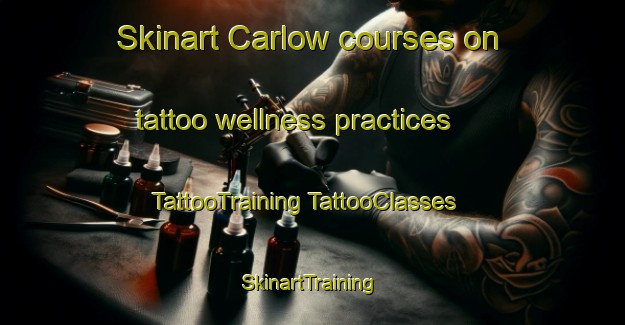 Skinart Carlow courses on tattoo wellness practices | #TattooTraining #TattooClasses #SkinartTraining-Canada