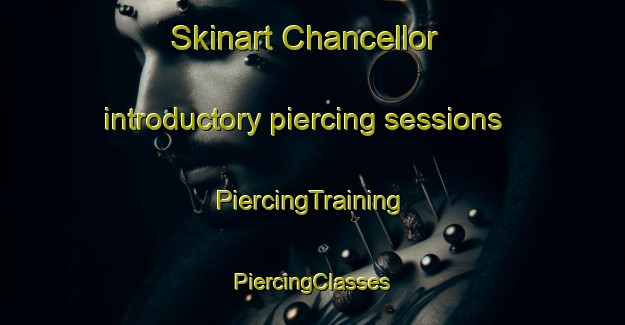 Skinart Chancellor introductory piercing sessions | #PiercingTraining #PiercingClasses #SkinartTraining-Canada