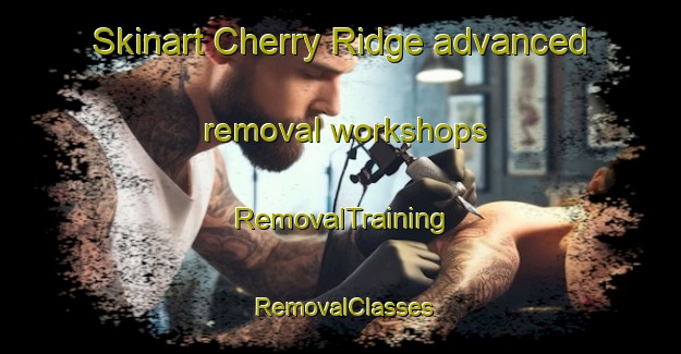 Skinart Cherry Ridge advanced removal workshops | RemovalTraining | RemovalClasses | SkinartTraining-Canada