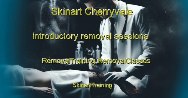 Skinart Cherryvale introductory removal sessions | #RemovalTraining #RemovalClasses #SkinartTraining-Canada