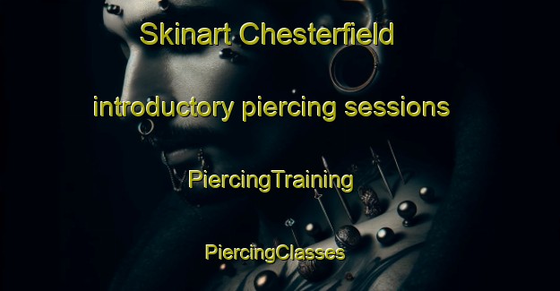 Skinart Chesterfield introductory piercing sessions | PiercingTraining | PiercingClasses | SkinartTraining-Canada