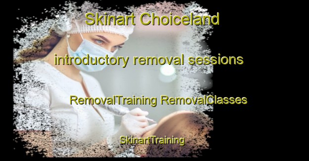 Skinart Choiceland introductory removal sessions | #RemovalTraining #RemovalClasses #SkinartTraining-Canada