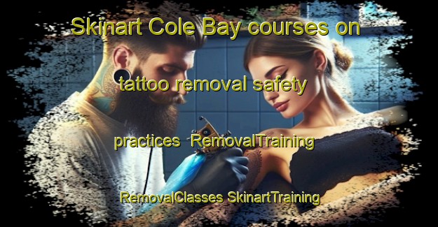 Skinart Cole Bay courses on tattoo removal safety practices | #RemovalTraining #RemovalClasses #SkinartTraining-Canada