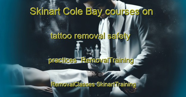 Skinart Cole Bay courses on tattoo removal safety practices | #RemovalTraining #RemovalClasses #SkinartTraining-Canada