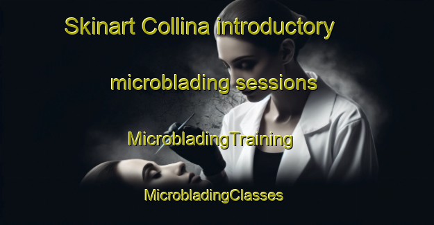 Skinart Collina introductory microblading sessions | MicrobladingTraining | MicrobladingClasses | SkinartTraining-Canada