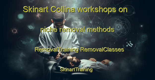 Skinart Collina workshops on niche removal methods | #RemovalTraining #RemovalClasses #SkinartTraining-Canada