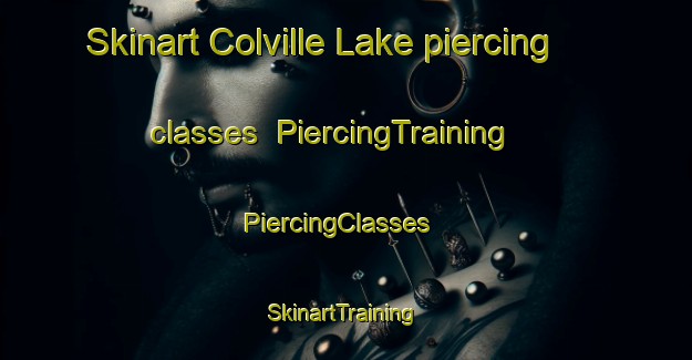 Skinart Colville Lake piercing classes | PiercingTraining | PiercingClasses | SkinartTraining-Canada