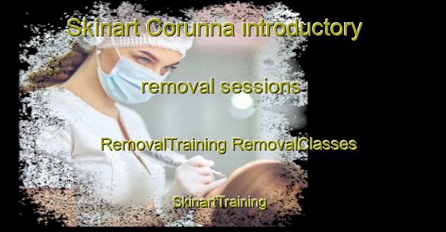 Skinart Corunna introductory removal sessions | #RemovalTraining #RemovalClasses #SkinartTraining-Canada