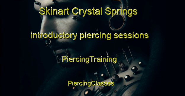 Skinart Crystal Springs introductory piercing sessions | PiercingTraining | PiercingClasses | SkinartTraining-Canada