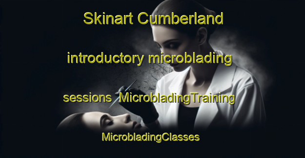 Skinart Cumberland introductory microblading sessions | MicrobladingTraining | MicrobladingClasses | SkinartTraining-Canada