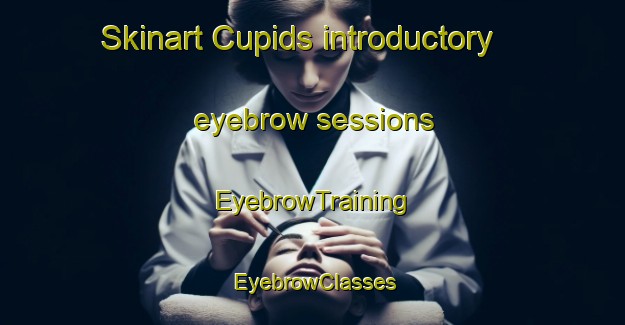 Skinart Cupids introductory eyebrow sessions | EyebrowTraining | EyebrowClasses | SkinartTraining-Canada
