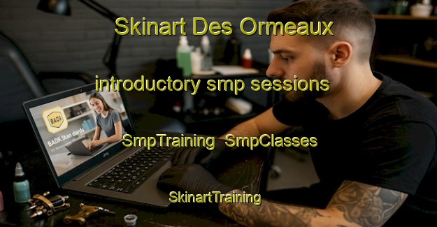 Skinart Des Ormeaux introductory smp sessions | SmpTraining | SmpClasses | SkinartTraining-Canada