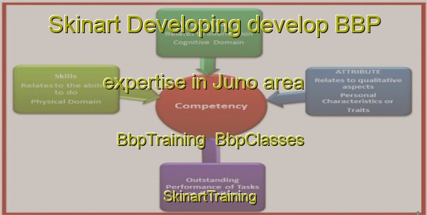 Skinart Developing develop BBP expertise in Juno area | BbpTraining | BbpClasses | SkinartTraining-Canada