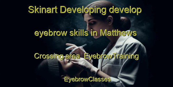 Skinart Developing develop eyebrow skills in Matthews Crossing area | EyebrowTraining | EyebrowClasses | SkinartTraining-Canada