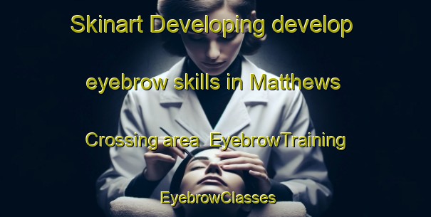 Skinart Developing develop eyebrow skills in Matthews Crossing area | EyebrowTraining | EyebrowClasses | SkinartTraining-Canada