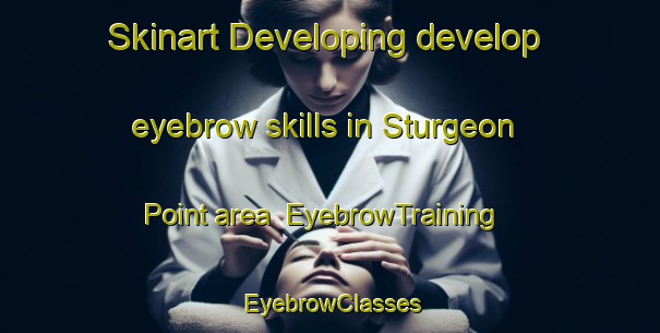 Skinart Developing develop eyebrow skills in Sturgeon Point area | EyebrowTraining | EyebrowClasses | SkinartTraining-Canada