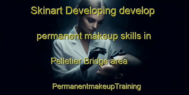 Skinart Developing develop permanent makeup skills in Pelletier Bridge area | PermanentmakeupTraining | PermanentmakeupClasses | SkinartTraining-Canada