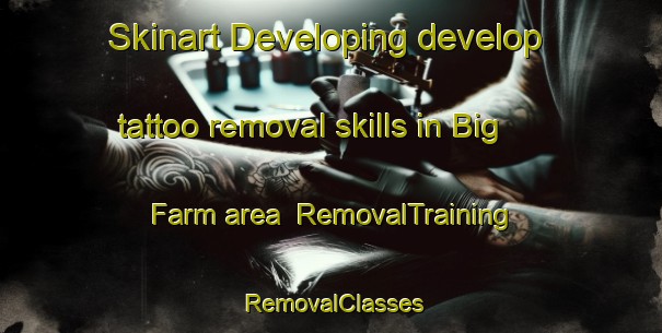 Skinart Developing develop tattoo removal skills in Big Farm area | RemovalTraining | RemovalClasses | SkinartTraining-Canada