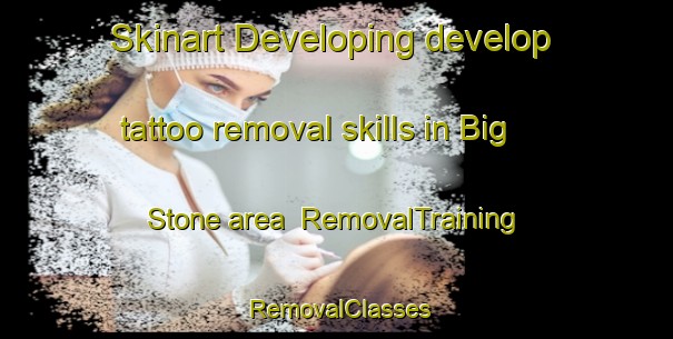 Skinart Developing develop tattoo removal skills in Big Stone area | RemovalTraining | RemovalClasses | SkinartTraining-Canada