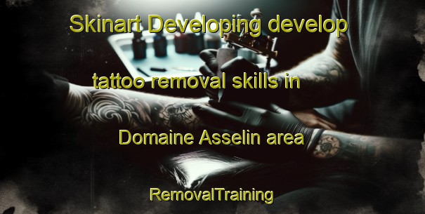 Skinart Developing develop tattoo removal skills in Domaine Asselin area | RemovalTraining | RemovalClasses | SkinartTraining-Canada