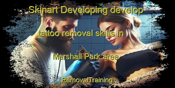 Skinart Developing develop tattoo removal skills in Marshall Park area | RemovalTraining | RemovalClasses | SkinartTraining-Canada