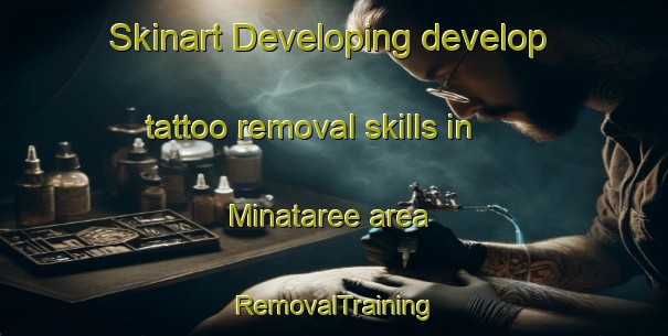 Skinart Developing develop tattoo removal skills in Minataree area | RemovalTraining | RemovalClasses | SkinartTraining-Canada