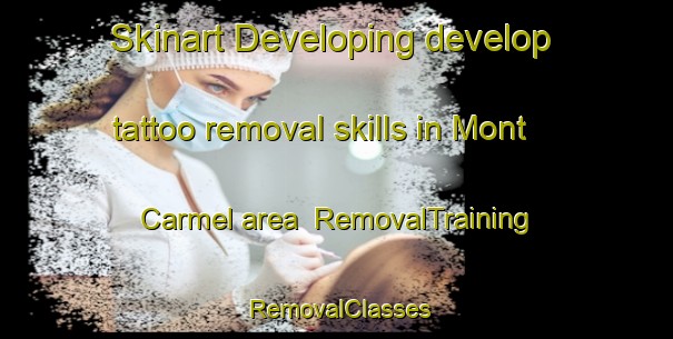 Skinart Developing develop tattoo removal skills in Mont Carmel area | RemovalTraining | RemovalClasses | SkinartTraining-Canada