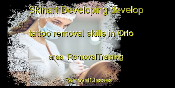 Skinart Developing develop tattoo removal skills in Orlo area | RemovalTraining | RemovalClasses | SkinartTraining-Canada