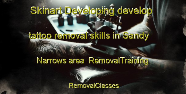 Skinart Developing develop tattoo removal skills in Sandy Narrows area | RemovalTraining | RemovalClasses | SkinartTraining-Canada
